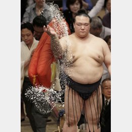 稀勢の里は肝心の取り組みで白鵬に勝てず(C)日刊ゲンダイ