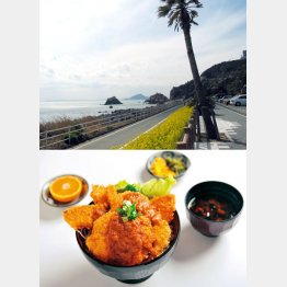 海沿いのサイクリングロード・ボリュームもある「食事処さくや」