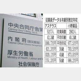 薬価改定に揺れる両社を比較