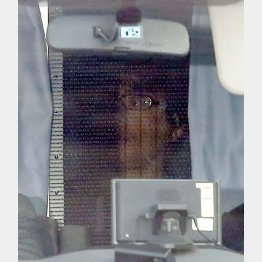 送検されるASKA容疑者(30日、警視庁東京湾岸署)