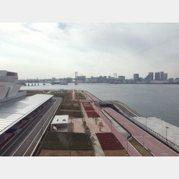 レインボーブリッジも望める