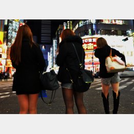 写真はイメージ