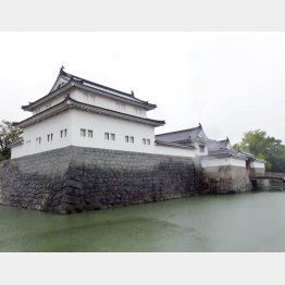 駿府城