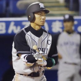 鳥谷はプロテクト入り!?
