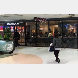 11月には江戸川区で初のスタバが開店