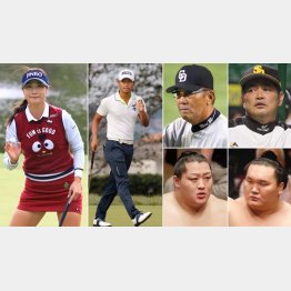 各界の2017年注目アスリートたち