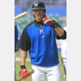 ガッツより上?