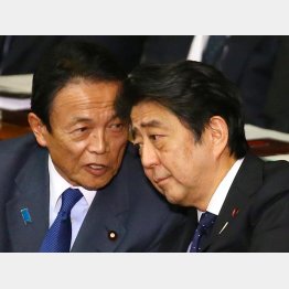 やりたい放題