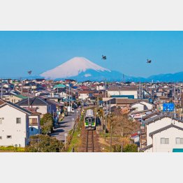 久留米線とのコラボ