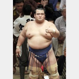 土俵に上がる回数は激減