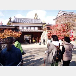 ポールを握って上田城へ