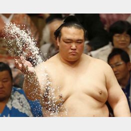 正月気分に浸るヒマなし