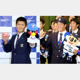 ヤクルト寺島成輝と中日柳裕也