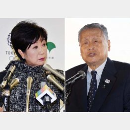 “森退治”は遠い