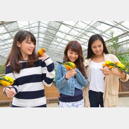 静岡県の「掛川花鳥園」