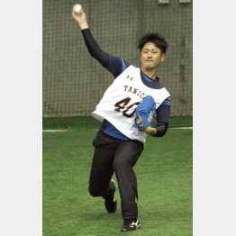 ドラフト3位の谷岡は実戦派