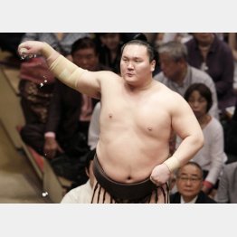 6日目を終えて全勝の白鵬