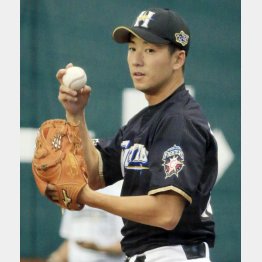今年は集大成の年?