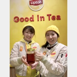 リプトンの「Good in Tea Stand」